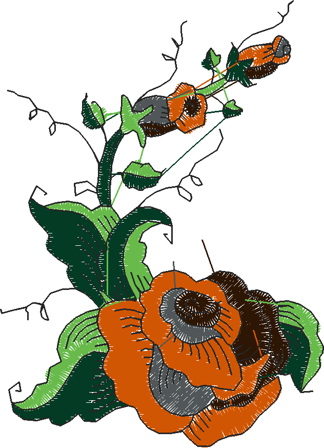 Fantastic Roses  1 (6)