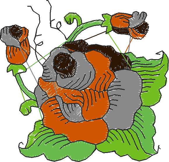 Fantastic Roses  1 (7)