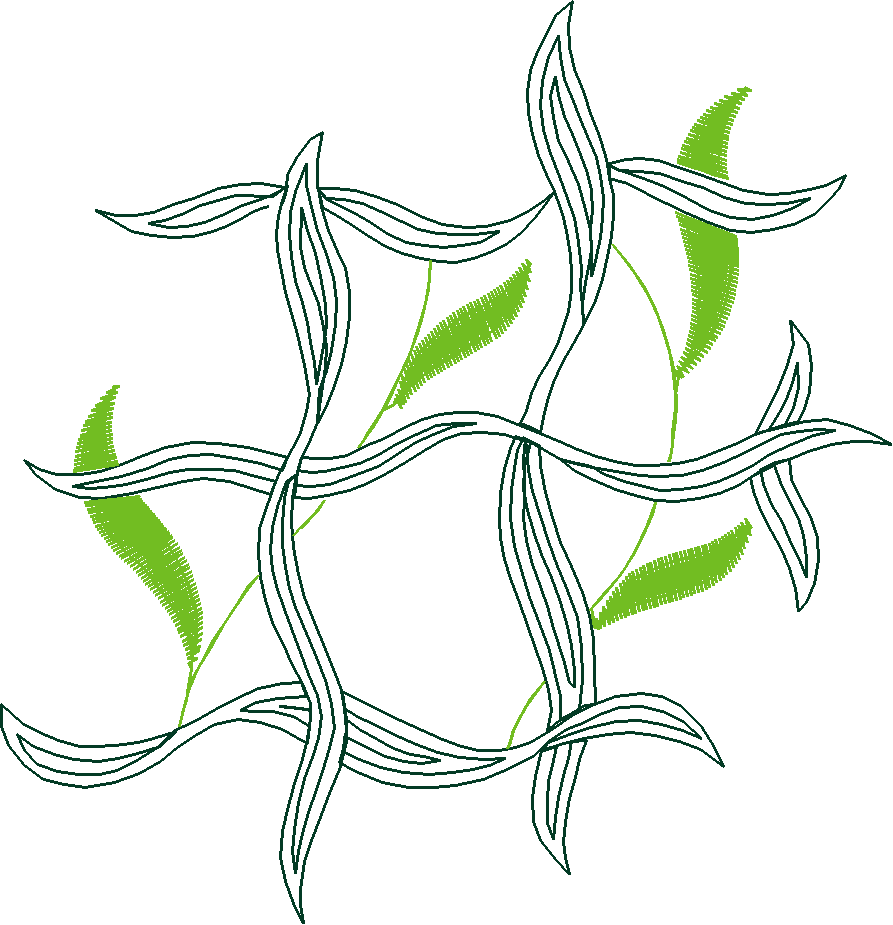 Fantasy Florals 2  (40)