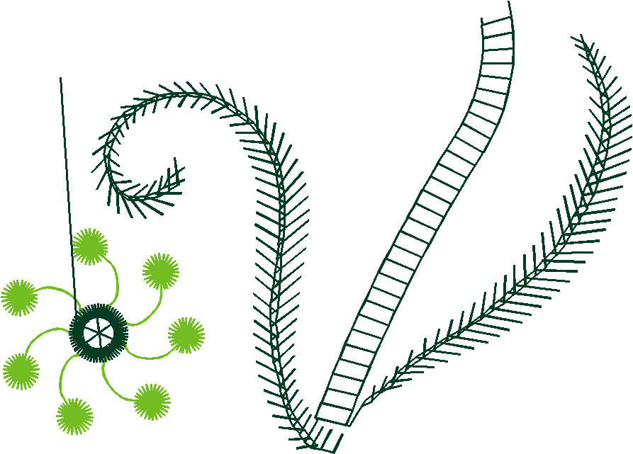 Fantasy Florals 2  (51)