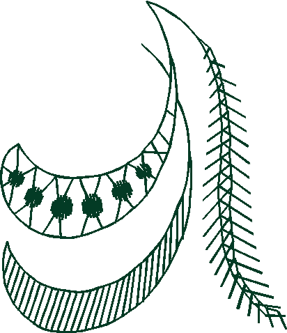 Fantasy Florals 2  (67)