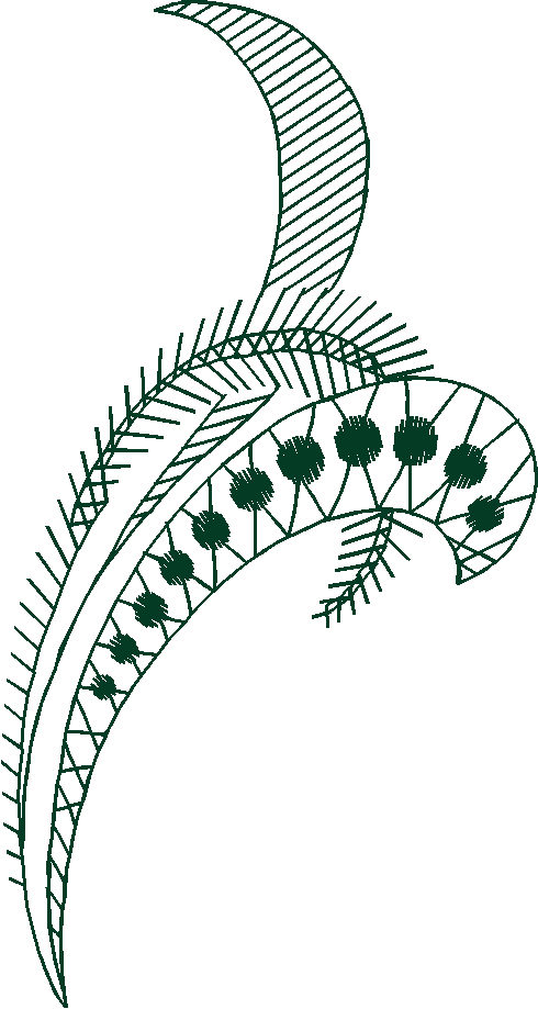 Fantasy Florals 2  (7)