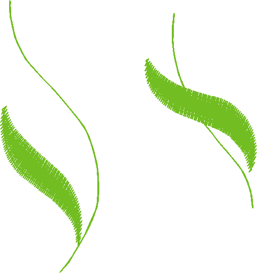 Fantasy Florals 2  (70)