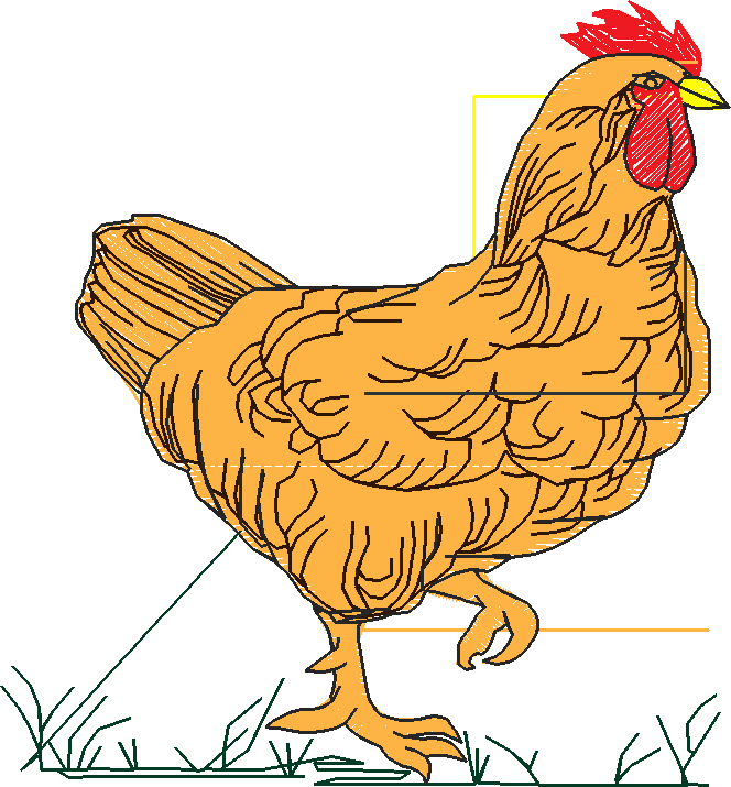 Farm Animals 2  (10)