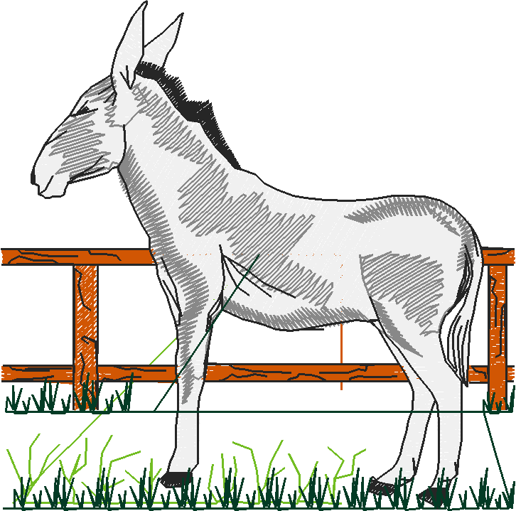 Farm Animals 2  (13)