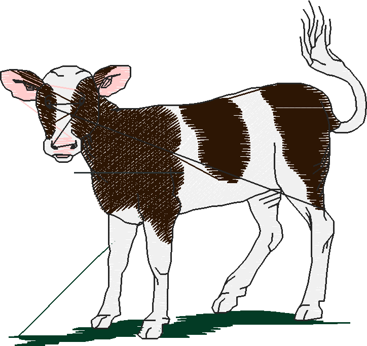 Farm Animals 2  (14)