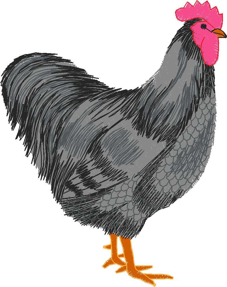 Farm Animals 3  (21)