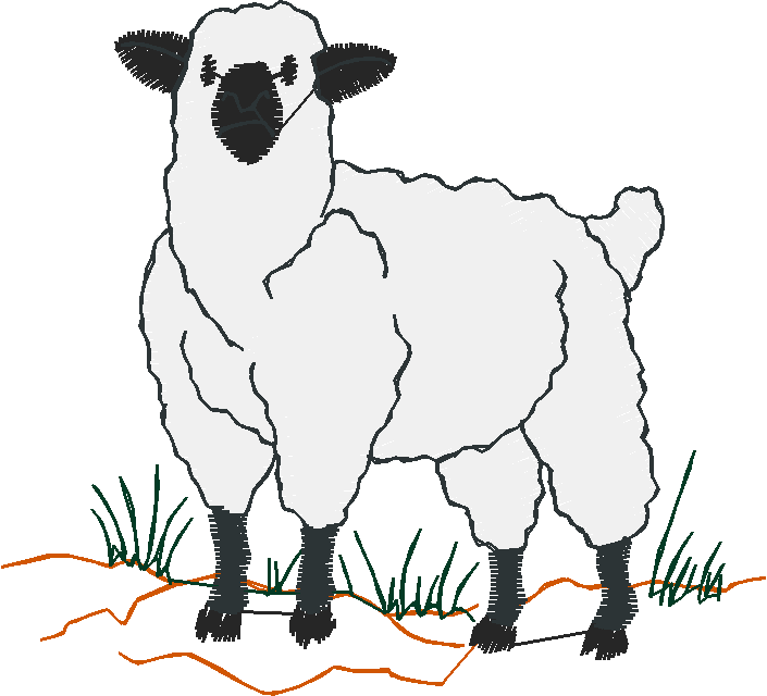 Farm Animals 4  (12)