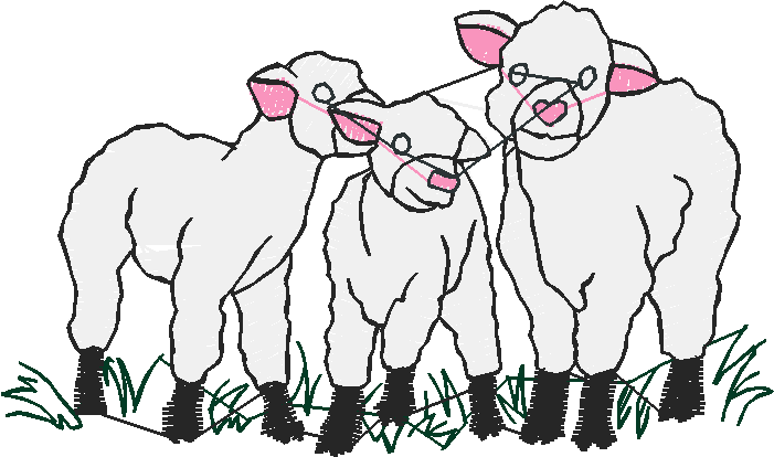 Farm Animals 4  (13)