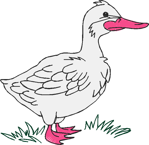 Farm Animals 4  (17)