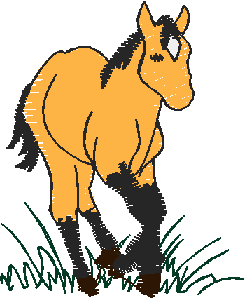 Farm Animals 4  (18)