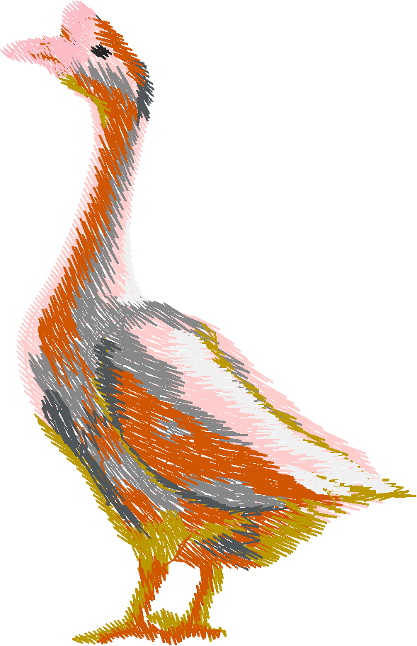 Farm Animals 5  (17)