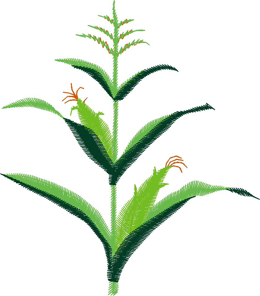 Farm Animals 5  (21)