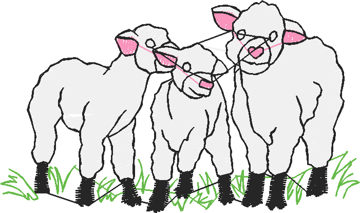 Farm Animals 6  (12)