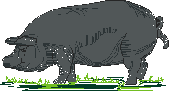 Farms & Gardens 1  (19)