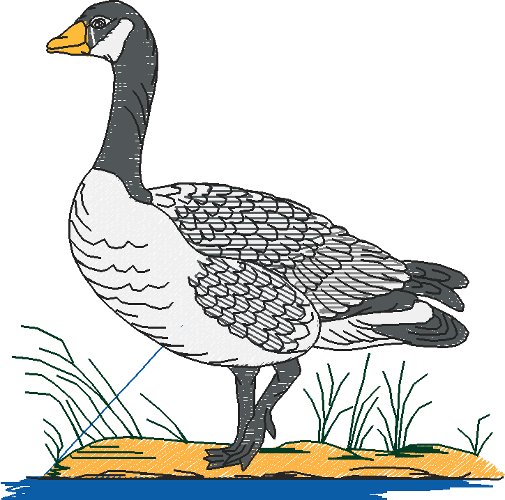 Farms & Gardens 1  (25)