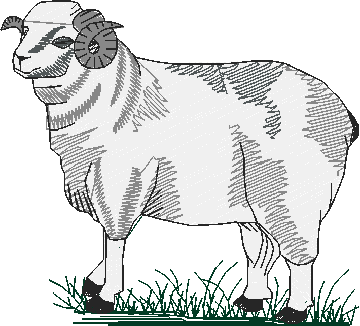 Farms & Gardens 1  (29)