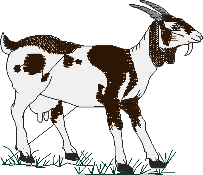 Farms & Gardens 1  (30)