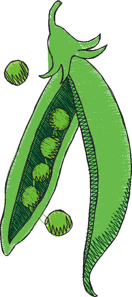 Farms & Gardens 1  (48)