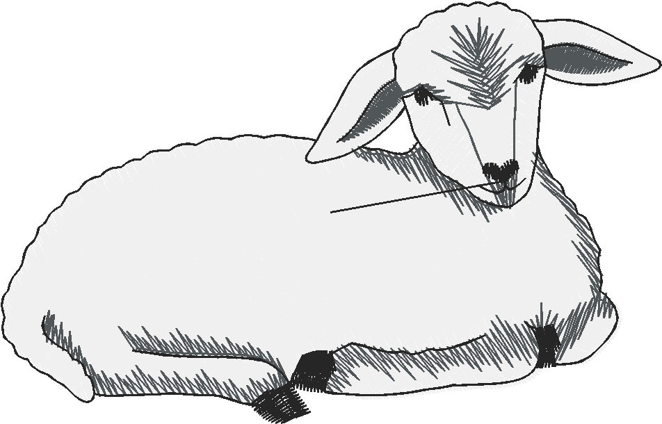 Farms & Gardens  2 (20)