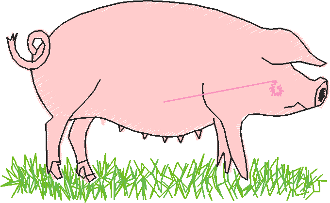 Farms & Gardens  2 (3)