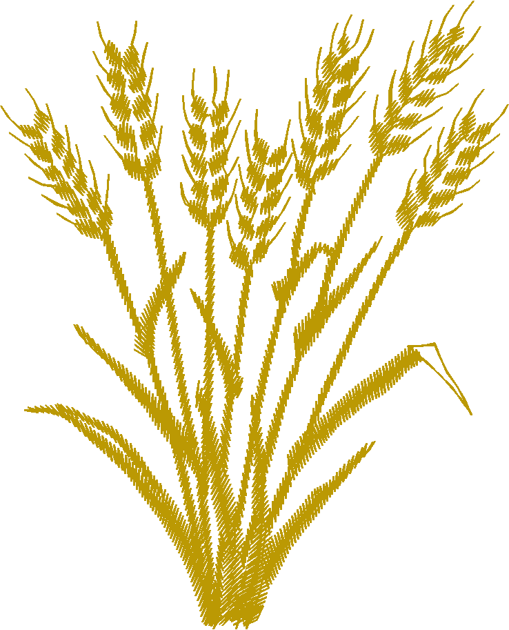 Farms & Gardens  2 (59)