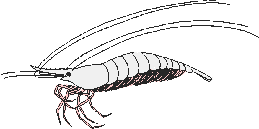 Farms & Gardens 3 (11)