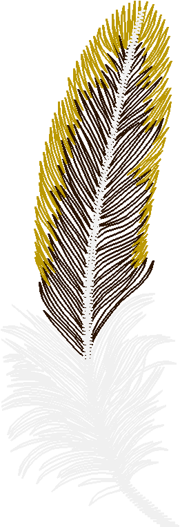 Feather2
