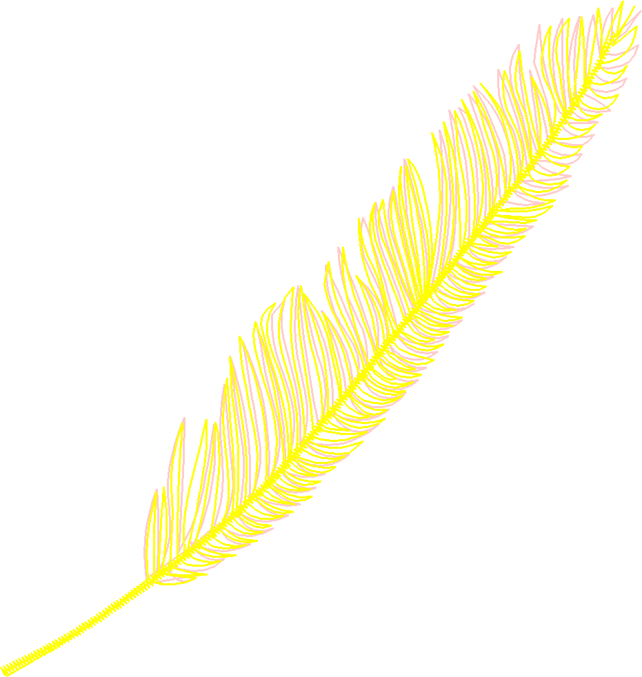 Feather3