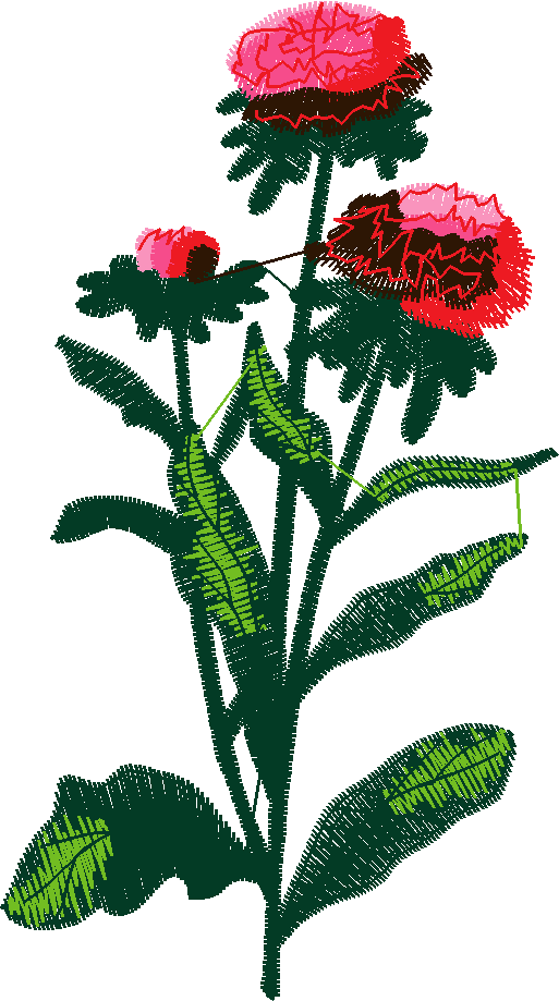 Fetching Florals 1  (3)