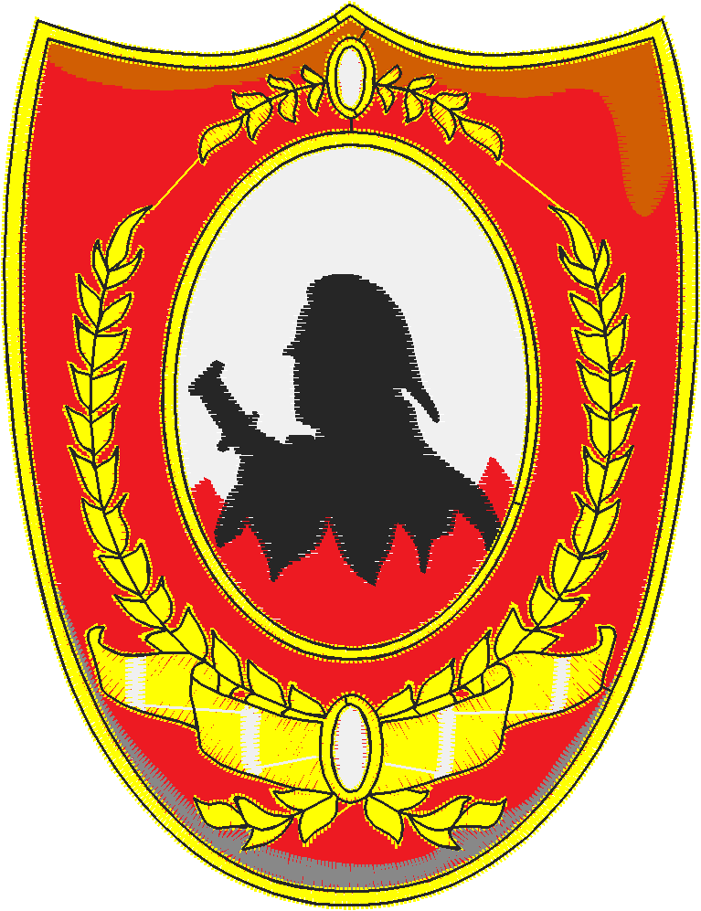 Fire Fighter Badges 1  (6)