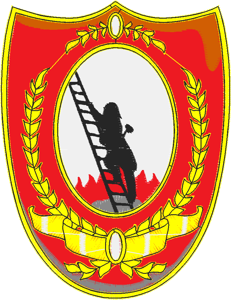 Fire Fighter Badges 1  (8)
