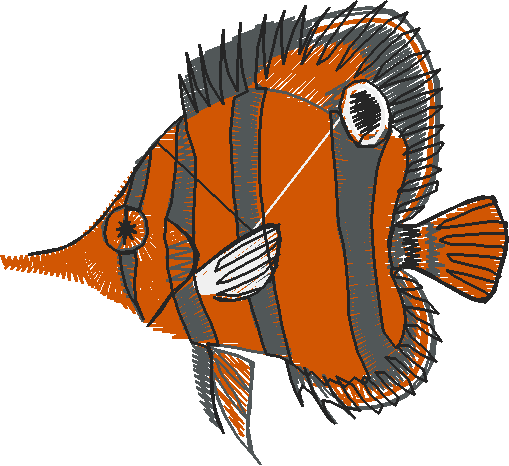 Fish 3  (17)