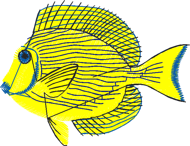 Fish 3  (20)