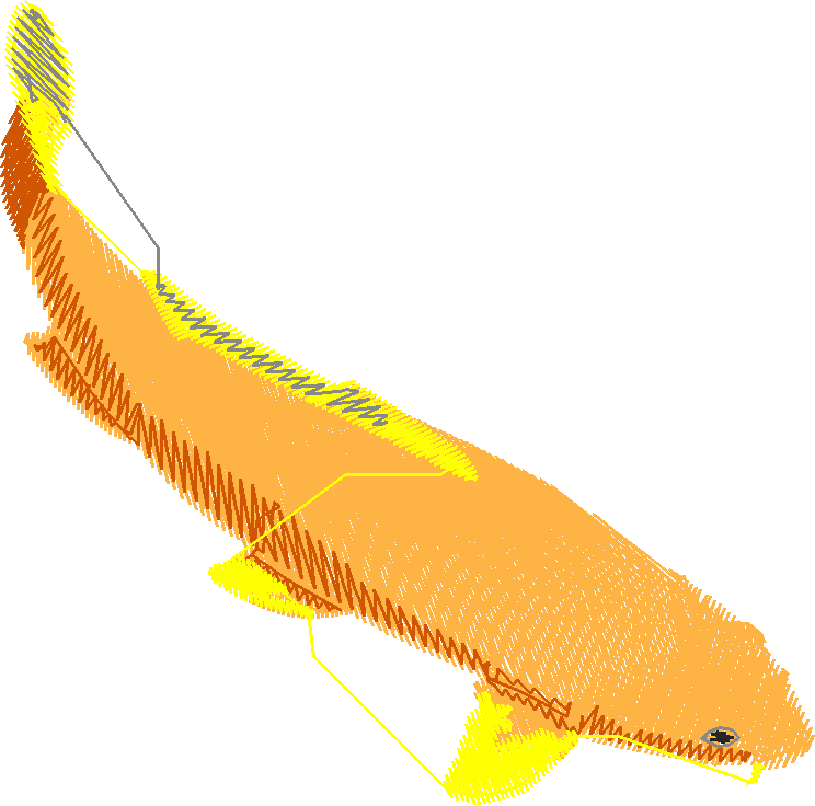 Fish 9  (18)