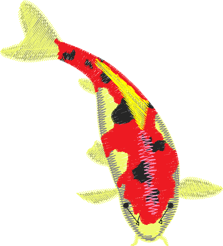 Fish 9  (2)