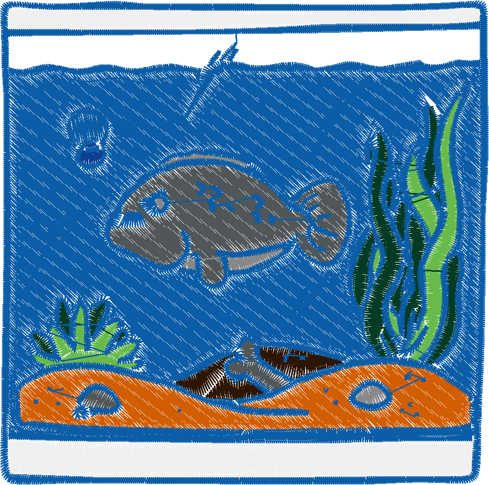 Fish Tanks 1  (1)
