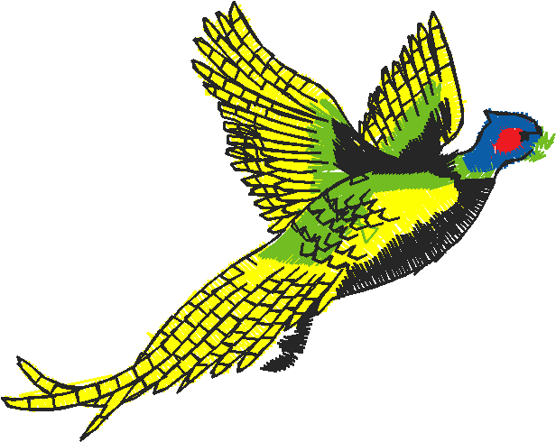 Fishing & Hunting 1  (1)