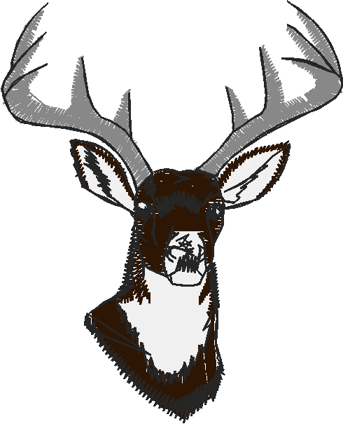 Fishing & Hunting 1  (2)