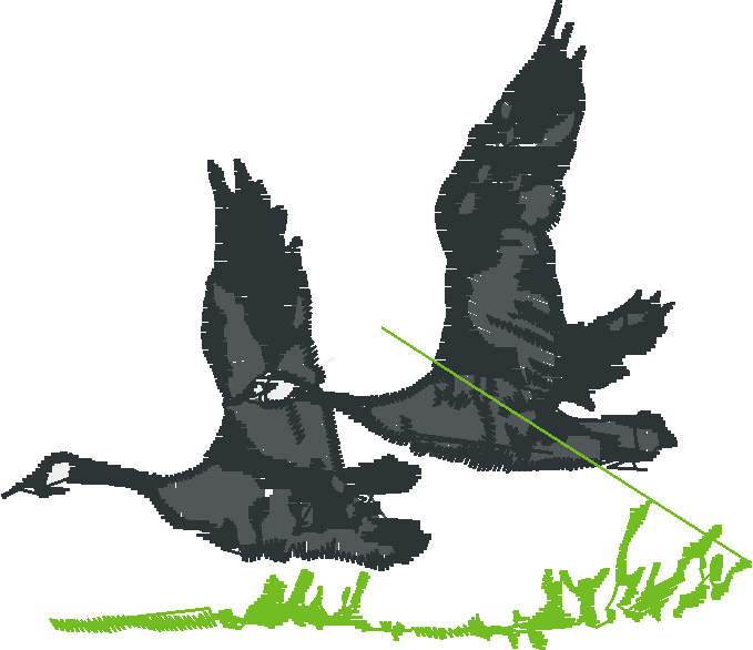 Fishing & Hunting 1  (7)