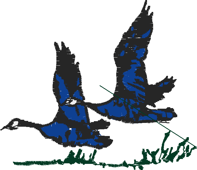 Fishing & Hunting 2 (8)