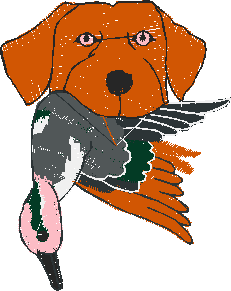 Fishing & Hunting 2 (9)