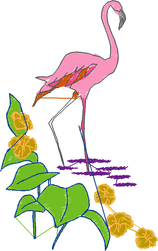 Flamingos  (1)