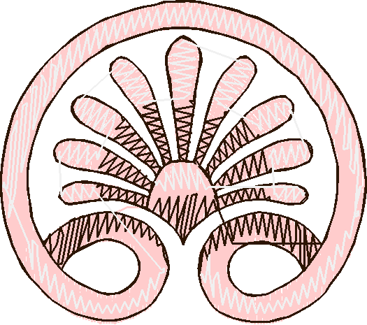 Fleur De Lis 1  (17)