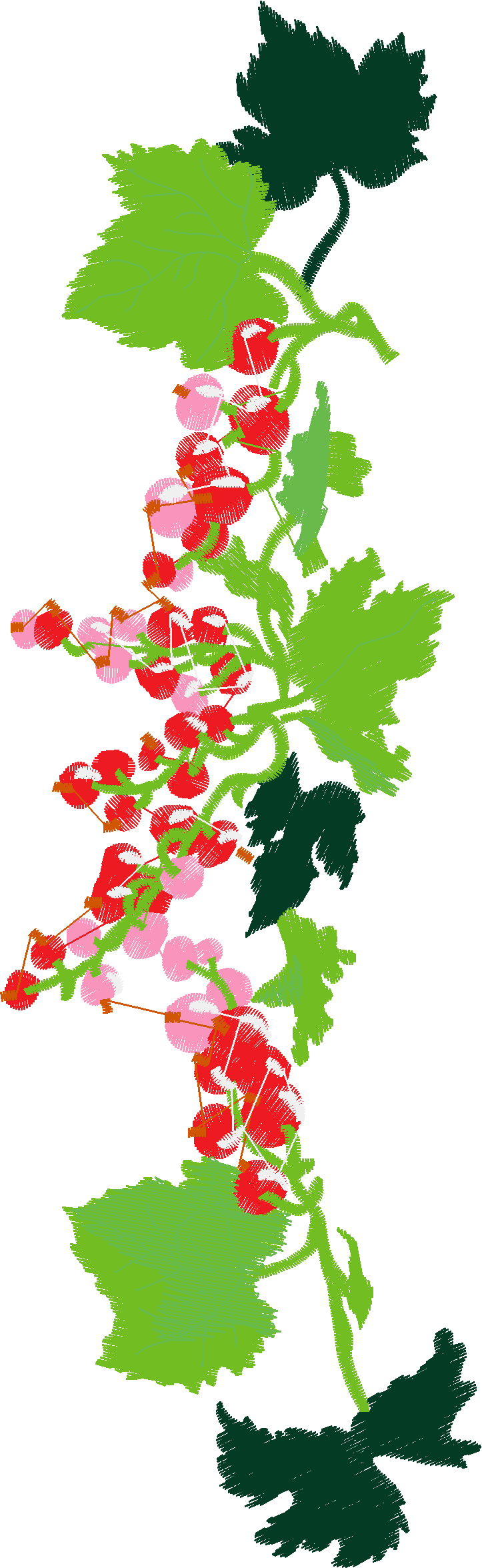 Floral Baskets 2  (9)