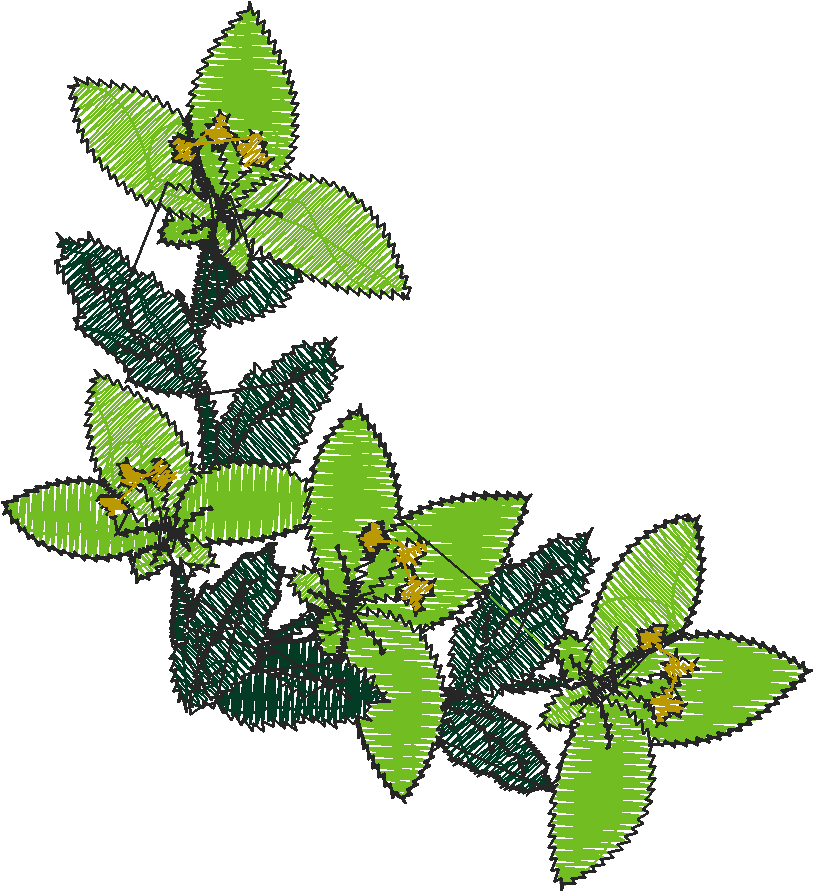 Floral Corners  1 (5)