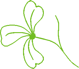 Floral Elements 1  (15)