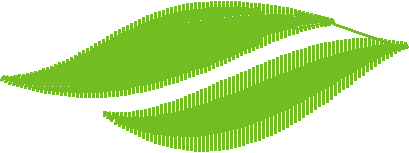 Floral Elements 1  (19)