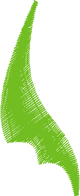 Floral Elements 1  (29)