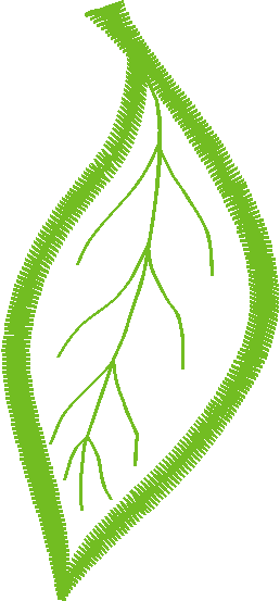 Floral Elements 1  (32)